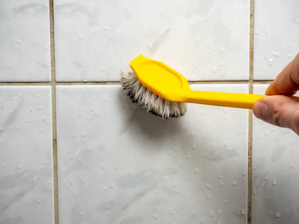 Best Post-Flood Mold Remediation in Portsmouth, VA