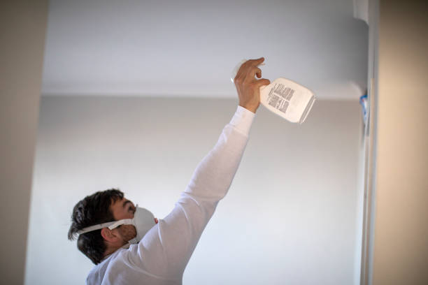 Best Localized Mold Remediation (e.g., coastal areas, humid climates) in Portsmouth, VA