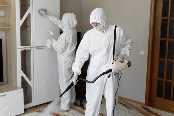 Best Industrial Mold Remediation in Portsmouth, VA