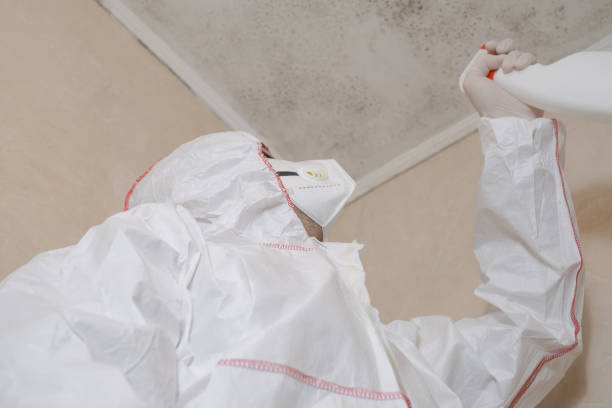 Best Industrial Mold Remediation in Portsmouth, VA