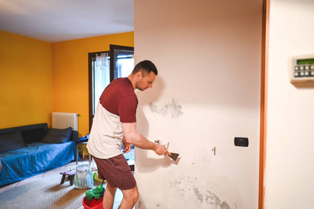 Best Post-Flood Mold Remediation in Portsmouth, VA